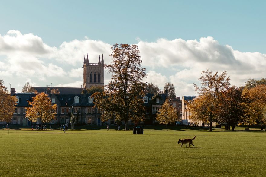 Cambridge Park