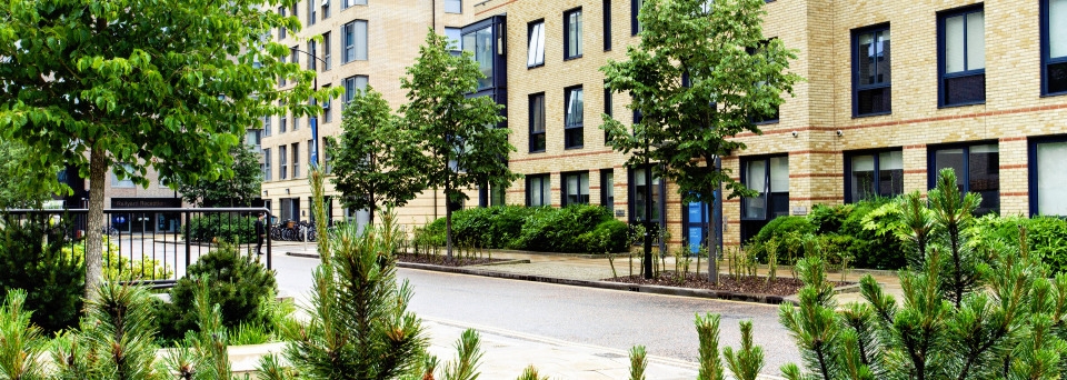 Studio Cambridge - Unterkunft